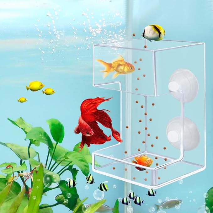 Acrylic Betta Fish Feeder for Aquarium, Square Feeding Ring Suction Cup with 1 Spoon, Transparent Aquarium Bird Shrimp Feeder (Square)