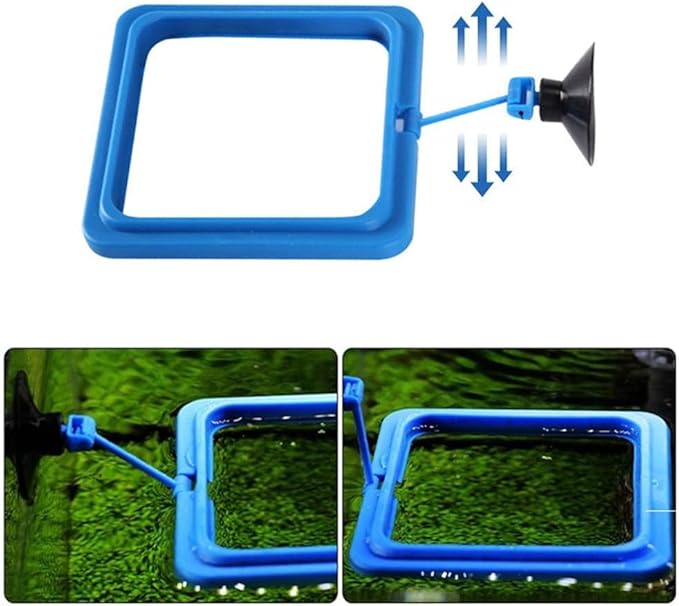 Fish Feeding Ring, Fish Floating Food Feeder with Suction Cup Square Shape Tank Feeder Aquarium Turtle Tank Accessories Food Goldfish, Turtle(Round,Black)
