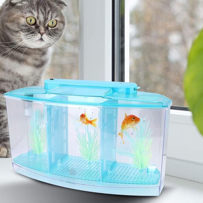 Small Fish Isolation Fish Tank, LED Acrylic Aquarium Fish Tank, Transparent Fish Isolation Box with 2 Isolation Plates for Small Fishes Betta Shrimp Guppy (Blue)