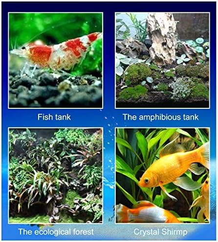 TOPINCN 100 Pcs Isolation Board Supporty Feet, Fish Isolation Board Supporty Feet, Support Feet for Aquarium Divider(Black)