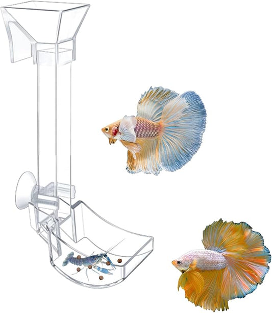 Aquarium Fish Shrimp Feeding Dish Set - Clear Feeder Tube and Dish With Cleaning Brush and Measuring Spoon for Shrimp - Prevents Food Scattering - Supplies for Small Fish
