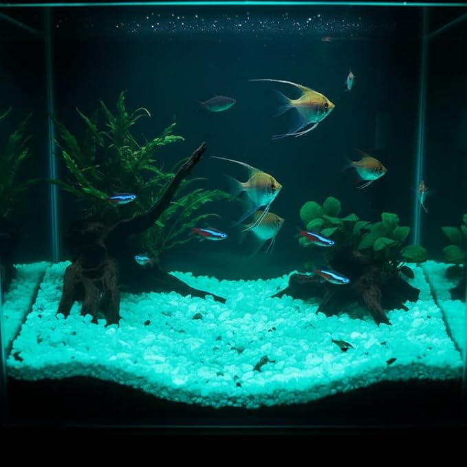 Shiny Stone Glow in The Dark Aquarium Neon Gravel Sand, Decorative Rocks for Fish Tank and Fairy Garden, Home Dec,305g/0.67lbs (5-8mm, Blue Green)