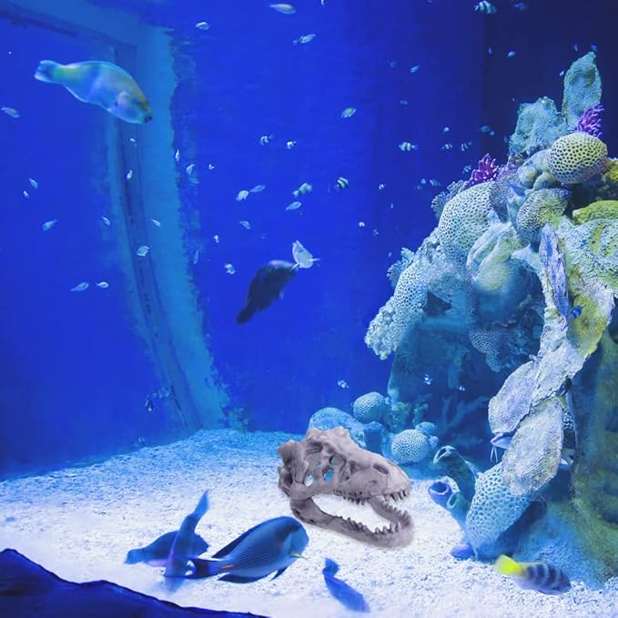 Fish Tank Decorations Dinosaur Skull Decor Resin Aquarium Decoration Accessories for Small Betta Fish, Hermit Crab Hideout Caves, Reptile House Ornament