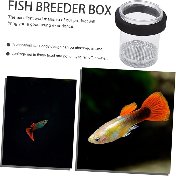 Ipetboom Guppy Breeder Box Aquarium Isolation Fish Hatchery Tank with Transparent Cover for Newborn Fry Protection and Pregnant Guppy Separation