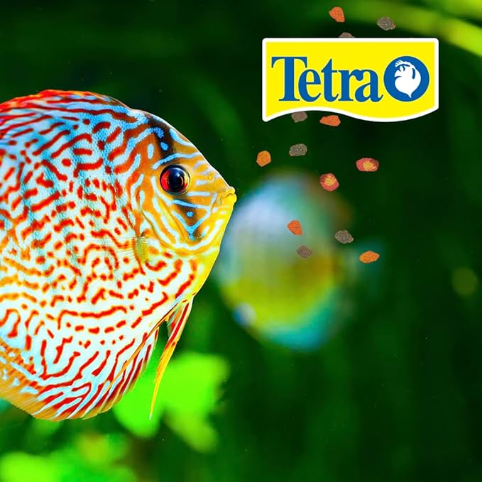TetraPro Tropical Color Crisps, Fish Food with Natural Color Enhancers, Tropical Fish Food, 7.41 Ounces (Pack of 2)