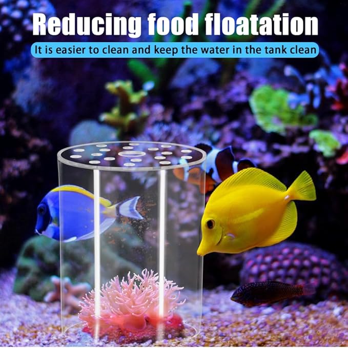 DONGKER Coral Feeder Cover, Transparent Acrylic Coral Breeding Protection Cover Avoid Food Floating Around for Aquarium Fish Tank(80mm,100mm,120mm)