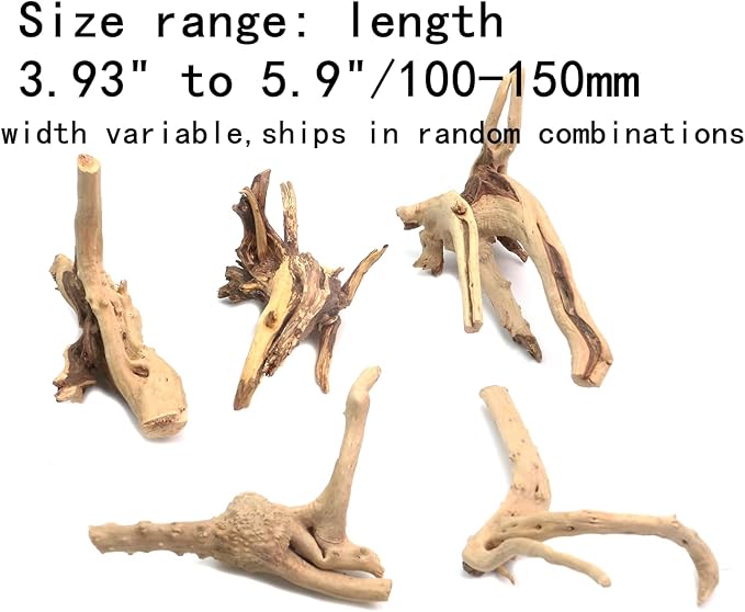 5Pcs Natural Cuckoo Wood for Aquarium, Aquarium Decor Wood Freshwater Fish Tank Reptile Driftwood Branch Length 3.93" to 5.9"