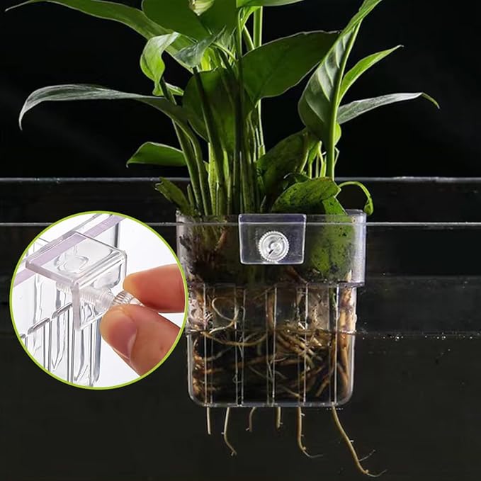 2 Pieces 6 Holes Aquarium Plant Holder Clear Acrylic Fish Tank Planter Cup Hanging Water Plants Pot for Aquarium Decor Plant Cultivation Aquarium Decorations