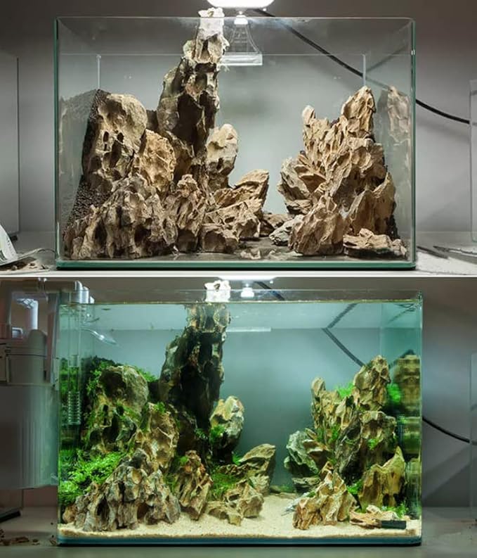 AWXZOM Natural Dragon Rock Carefully Selected Mixed Sizes, Decorative Aquarium Rocks, Aquarium Stones for Fish Tank (10lb-Extra Large)