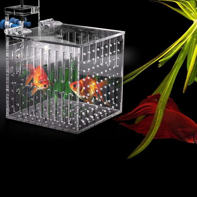 Strip Holes Design Adjustable Fishes Breeding Boxes, Aquarium Isolation Box, Fish Shrimp Clownfish for Preventing Fighting Fish Hatching Breeding
