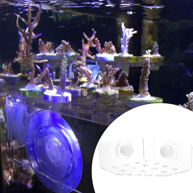 ULTECHNOVO Fish Tank Coral Acrylic Holder, Coral Rack, Acrylic Bracket Holder Aquarium Fish Tank Coral Frag Holder Marine Reef Accessories with Enhanced Suction Cup (13 Plug Holes)