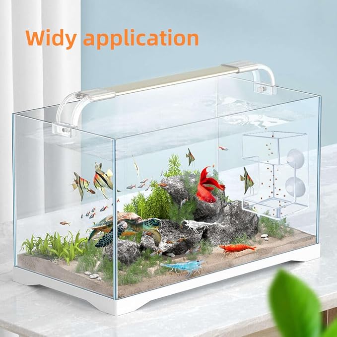 Acrylic Betta Fish Feeder for Aquarium, Square Feeding Ring Suction Cup with 1 Spoon, Transparent Aquarium Bird Shrimp Feeder (Square)