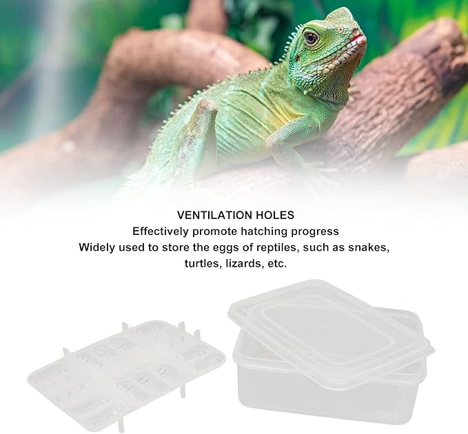 16 Grids Reptile Breeding Box,Reptile Incubator Professional Plastic Reptile Breeding Box Hatching Incubator for Amphibians Snakes Lizards Turtles Tortoises Geckos