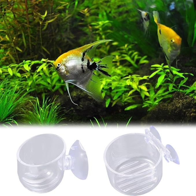 Fish Tank Plant Cup 6PCS Aquarium Growing Cups Acrylic Waterweed Cup Aquarium Decoration Plant Cup Pot with Suction Holder Mini Gardening Vase Feeder