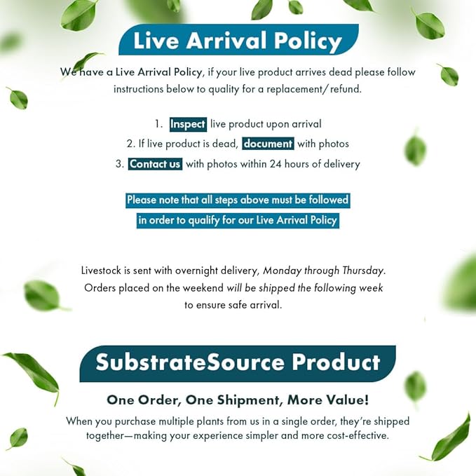 SubstrateSource Cryptocoryne Live Aquarium Plants - Freshwater Plant for Aquariums, Planted Fish Tanks - Beginner Friendly (Petchii, 1 Pot (3-5 Plants))