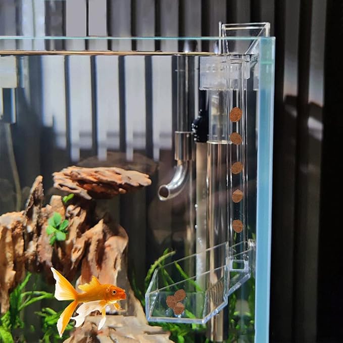 Shrimp Fish Feeding Dish - Sky Restaurant - Betta & Aquarium Feeder - Prevents Spills, Easy Clean Up, Suitable for African Cichlids & Dwarf Frogs