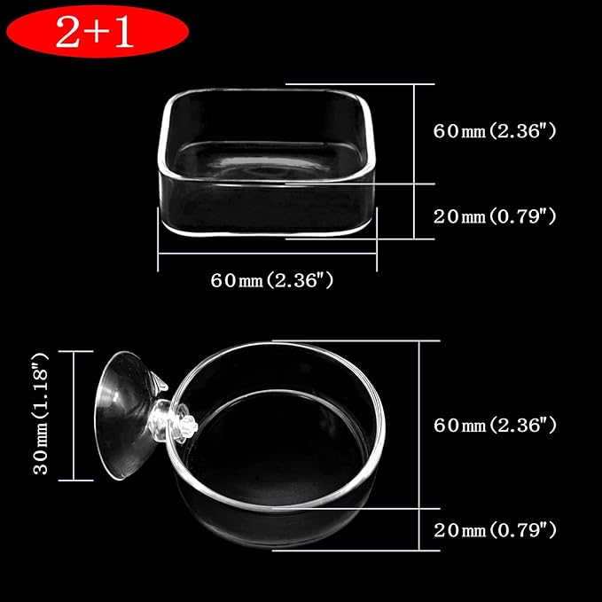 Aquarium Shrimp Feeder Dish Glass Fish Tank Feeding Bowls, 1pcs Round Glass Food Bowl (60mm), 2pcs Square Fish Feeding Bowls with Suction Cups (60mm)