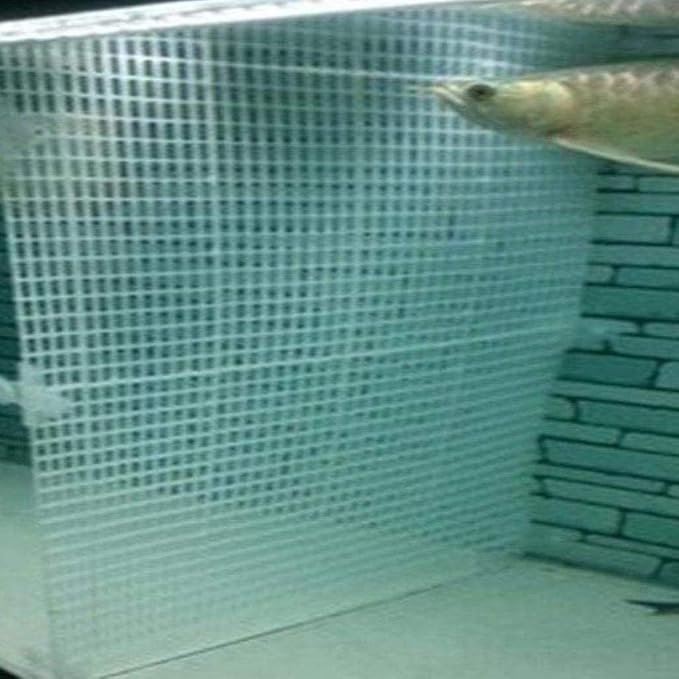 8 Pcs Aquarium Divider Grid Tray Egg Crate Fish Tank Filter Bottom Isolation Board Aquarium D¨¦cor Tank Dividers Partition Net Pane&10 Pcs Sucker Clips Suction Cups for Mixed Breeding,White