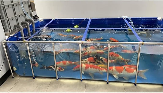 Breeding Water Tank for Goldfish Display Show Tank - Backyard Aquarium Pool Pond with Transparent Viewing Panel, PVC Canvas, Steel Frame, and Drain Valve for Stunning Aquatic