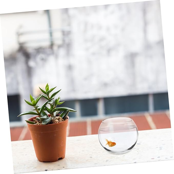 VANZACK Fish Bowl Vases Glass Bubble Bowl Vase - Clear Fish Bowl Round Vase Bowl Planter Terrarium Aquarium Bowls Mini Fish Tank Prizes Centerpieces Party Decor 12cm