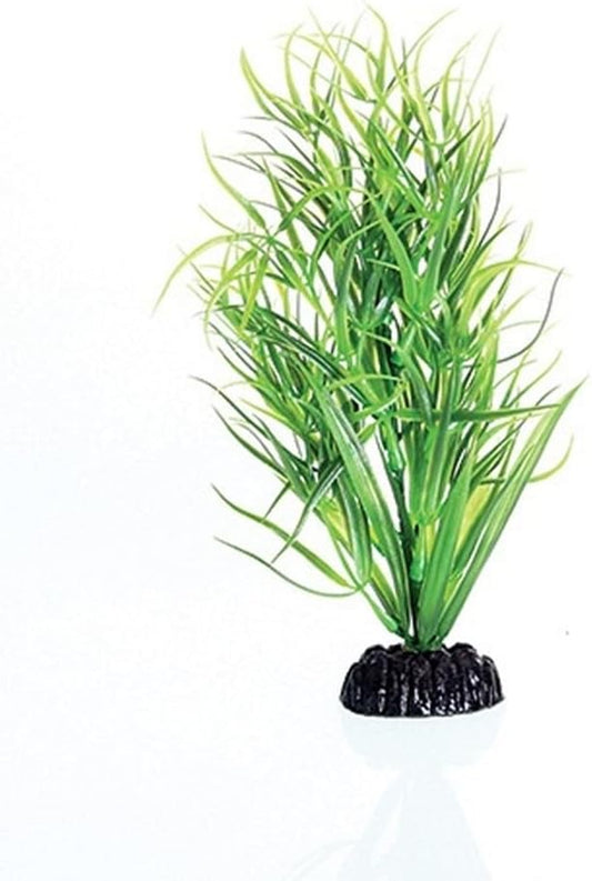 Underwater Treasures Green Diandra - 8"