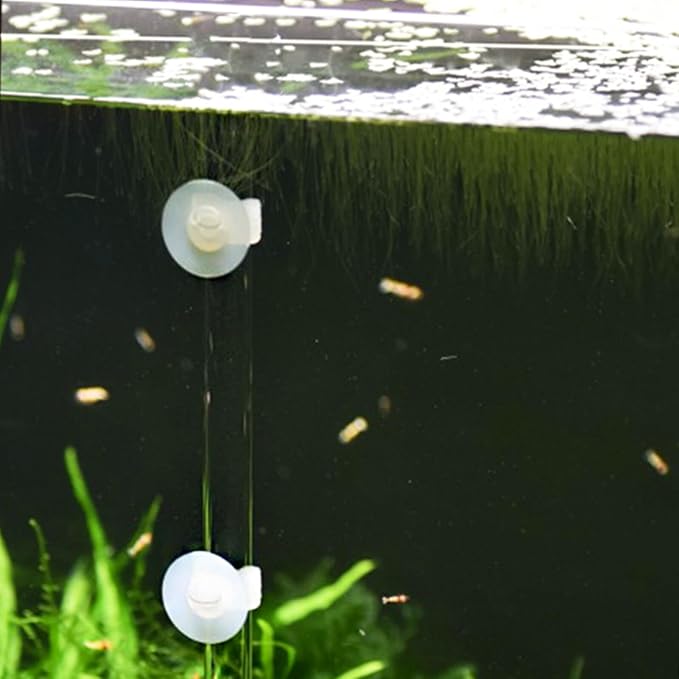 LALAFINA Aquarium Fish Feeder Tube with Sucker and Tray 20cm Acrylic Fish Tank Feeding Tool Automatic Food Dispenser for Aquarium Use