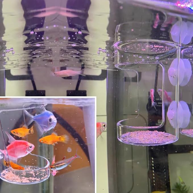 2PCS Round Fish Feeder with Suction Cup Fish Tank Feed Tray Feeding Tube Supplies Breeder Box for Aquarium