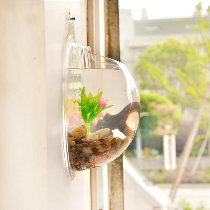 Wall Mounted Acrylic Fish Bowl