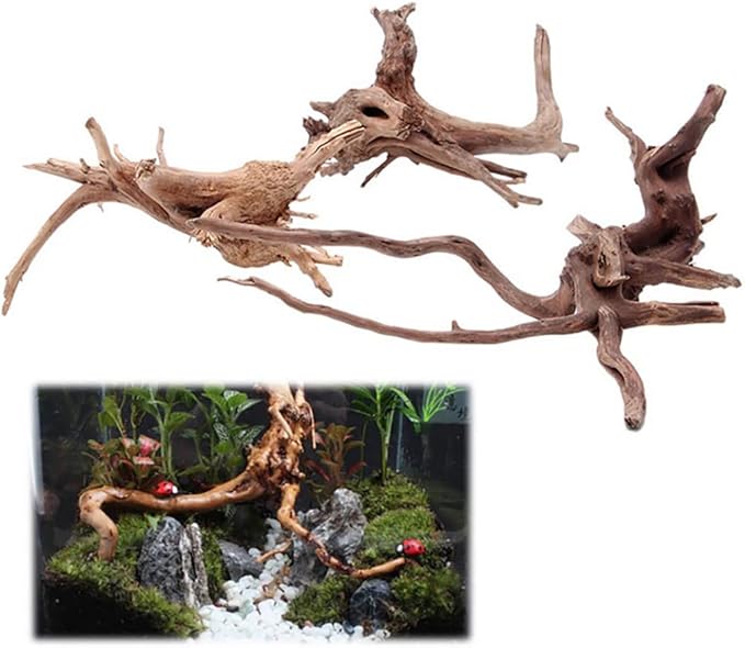 Natural Driftwood Aquarium Decor, Landscape Wood Stump Ornament for Fish Tank & Plant Scaping