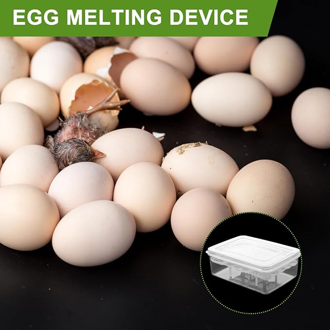 Balacoo 4 Pcs 16-Grid Reptile Breeding Box, Professional Clear Egg Incubator Tray, Plastic Breeder Box for Gecko, Lizard &Amp; Mane Hatching