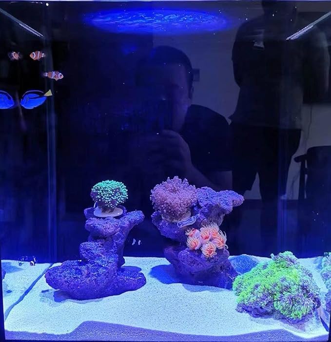 Aquarium Choice Big Size Ceramic Coralline Coral Frag Plugs Coral frag Plate Base