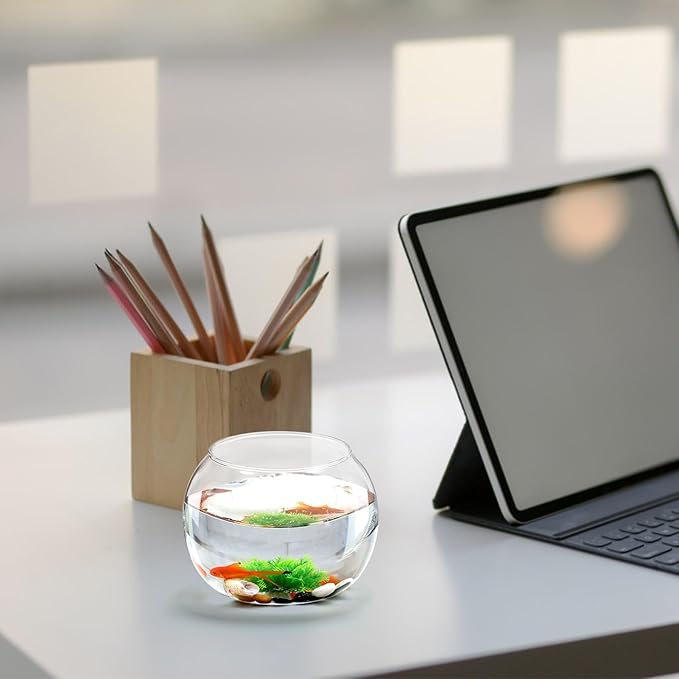 POPETPOP 2pcs Round Glass Terrarium Container Landscape Bottle for Moss Decor for Home Office Garden and Patio Decoration Creative Plant Display