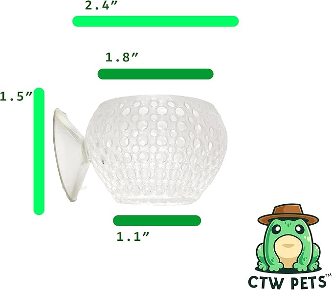 CTWPets Natural Betta Bulb Hide | Betta Rest Fish Tank Ornament | Aquarium Cave with Suction Cup for Small Fish Tank, Betta Habitat, Shrimp Hideout, Aquatic Decor (Transparent)