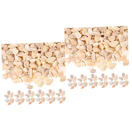 Totority 2pcs Natural Decorative Stones for Microlandscape and Aquarium of Small Rocks for Sand Table Garden Layout and Fish Tank Decoration