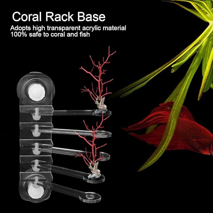 Pssopp Aquarium Frag Rack Acrylic Transparent Five Claw Life Tree Shape 5-Hole Frag Plugs Bracket Base with Suction Cup