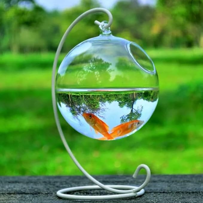 Spherical Glass Handmade Fish for Round Shape Hanging Glass Aquarium Fish Bowl Clear Plant Terrarium
