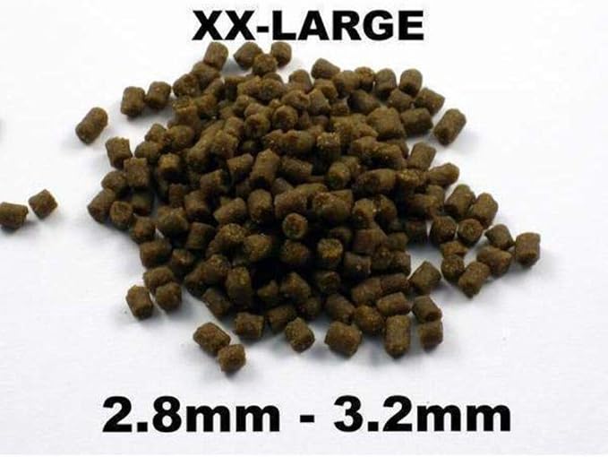 Bassleer Herbal BioFish Food - Formulated for Optimal Fish Health (X-Lrg, 170g)