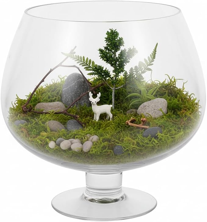 SUPVOX Glass Fish Bowl 6.7 Inch Round Goldfish Tank - Clear Glass Aquarium for Desktop Hydroponic Plants and Home Office Decor