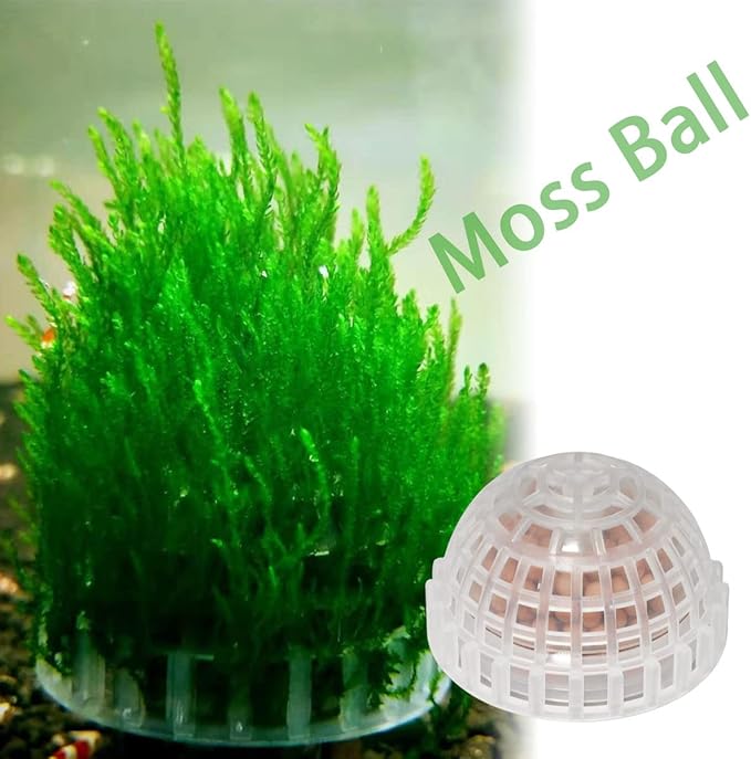 2pcs Plastic Aquarium Shrimp Fish Tank Media Moss Ball Holder Fish Tank Accessories Home Decoration 5x3cm, Transparent