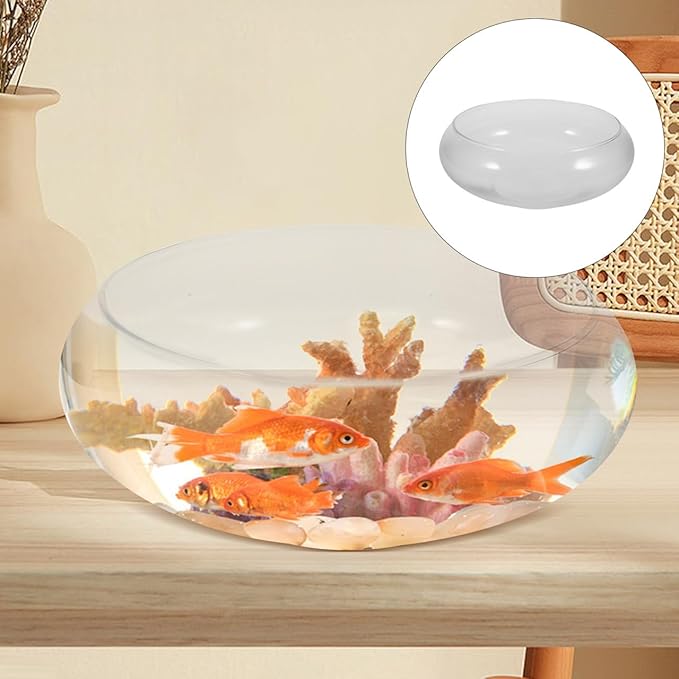 Large Glass Fish Bowl 9.84 Inch Transparent Desktop Aquarium for Goldfish, Hydroponic Plant Pot, Shallow Fish Tank for Home Decor