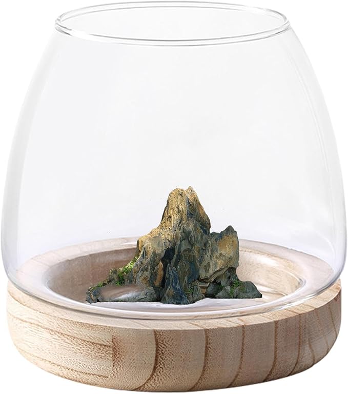 Glass Fish Bowl with Wooden Base, Transparent Small Aquarium Desktop Tank Vase Plant Terrarium Vase Home Decor, Multipurpose Aquarium Bowl for Betta Fish Goldf-ish