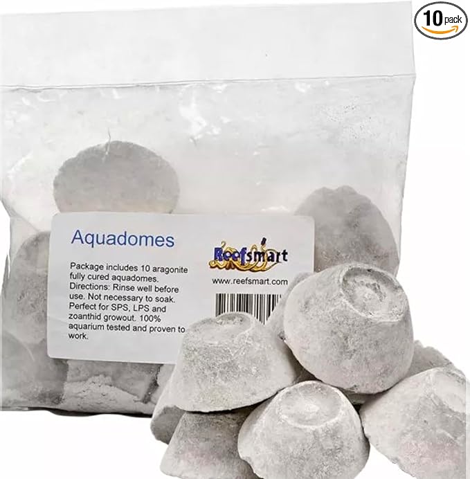 AQUADOMES Large Heavy Coral Frag Plugs Mounts, 10 Pack
