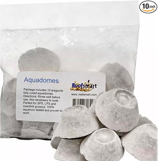 AQUADOMES Large Heavy Coral Frag Plugs Mounts, 10 Pack
