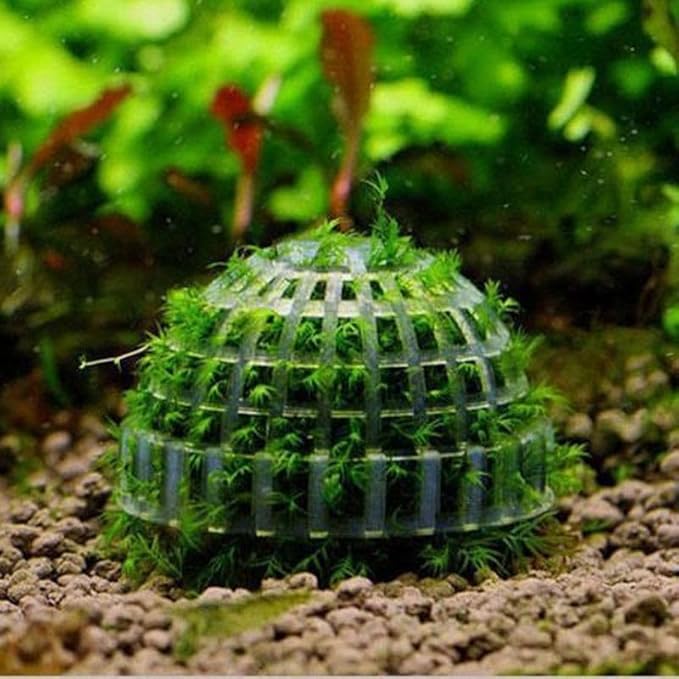 2 Pack Aquarium Moss Ball Holder, Hollow-Designed Plastic Plant Holder with Filter Stone for Shrimp & Fish Tank Decorations