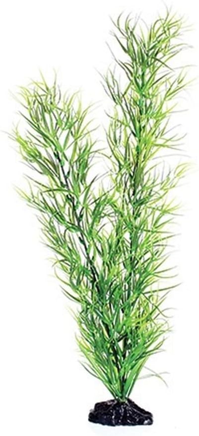 Underwater Treasures Green Diandra - 20"