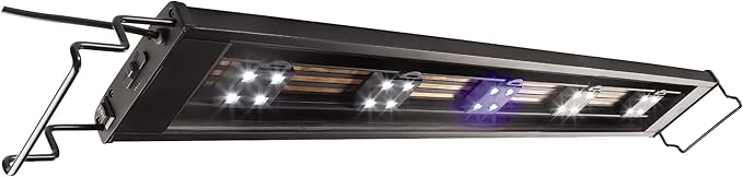 Marineland Fully Adjustable Essential LED Light for 20 Gallon Aquariums, Customizable Lighting