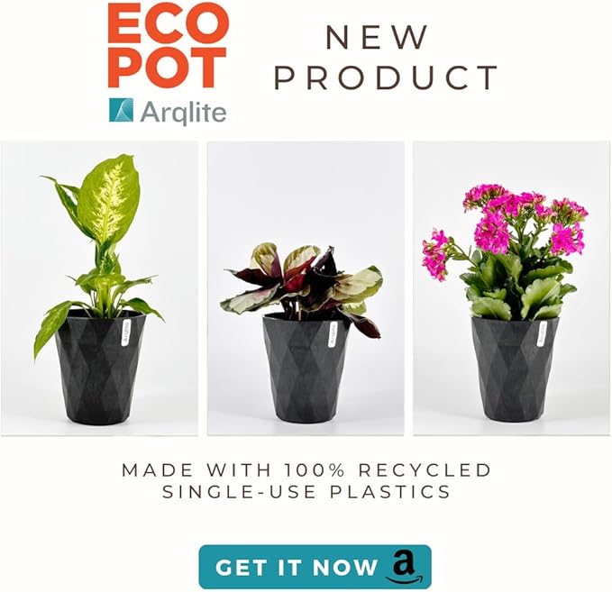 Arqlite Smart Gravel Eco Friendly Plant Drainage for Healthy Roots, Cactus, Succulents, Small Pots (1 Gal, Mini Size Bag)