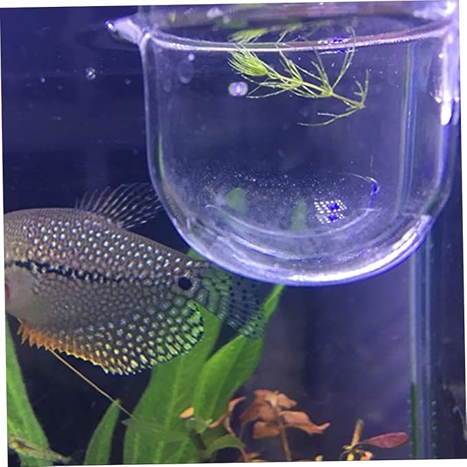 BESPORTBLE 2-piece Glass Feeding Cup for Fresh Saltwater Aquariums Fish Feeder Suction Cup Ideal for Brine Shrimp Eggs Aquarium Equipment Supplies Size s