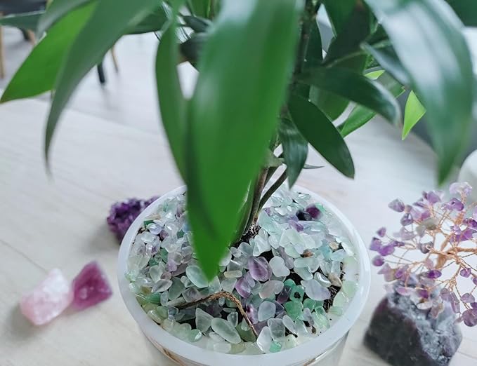 ZHIYUXI Crystal Fluorite Vase Filler, 0.22lbs, Polished Healing Chips for Decoration, Fish Tank Gravel, Succulent Plants, Home Decor