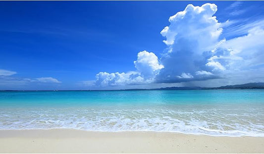 Tropical Beach Aquarium Background Ocean Sea Sandbeach Fish Tank Background Ocean Seascape Terrarium Backgrounds Sunny Blue Sky Clouds Seacoast Ocean Sea Waves Reptile Tank Backgrounds 24x12in